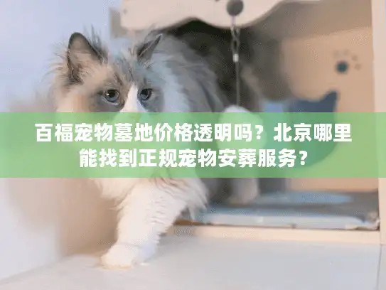 百福宠物墓地价格透明吗？北京哪里能找到正规宠物安葬服务？