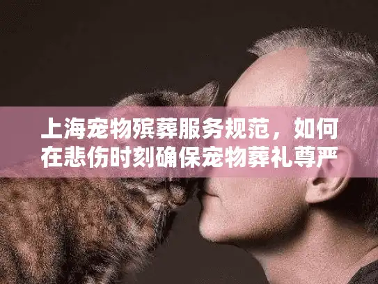 上海宠物殡葬服务规范，如何在悲伤时刻确保宠物葬礼尊严？