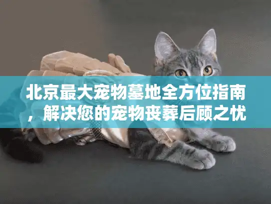 北京最大宠物墓地全方位指南，解决您的宠物丧葬后顾之忧