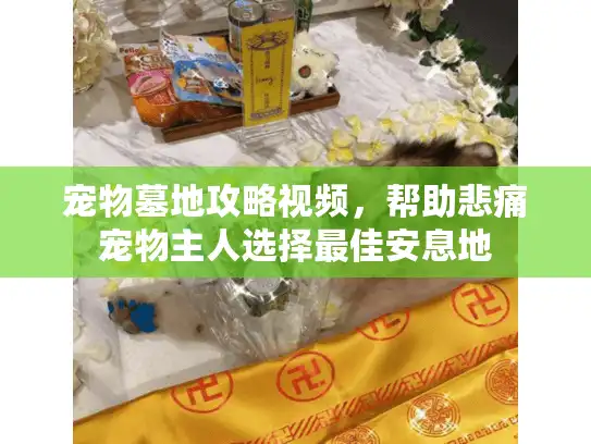 宠物墓地攻略视频，帮助悲痛宠物主人选择最佳安息地