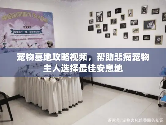 宠物墓地攻略视频，帮助悲痛宠物主人选择最佳安息地