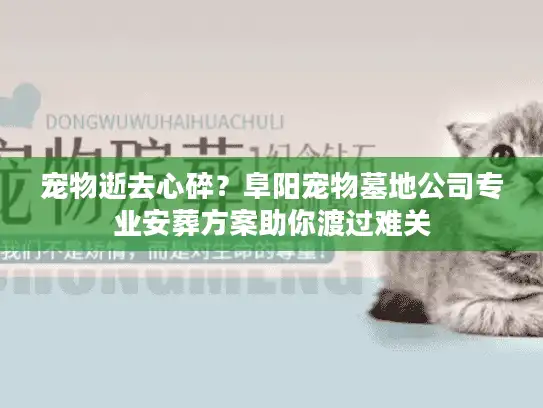 宠物逝去心碎？阜阳宠物墓地公司专业安葬方案助你渡过难关