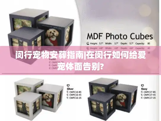闵行宠物安葬指南|在闵行如何给爱宠体面告别?