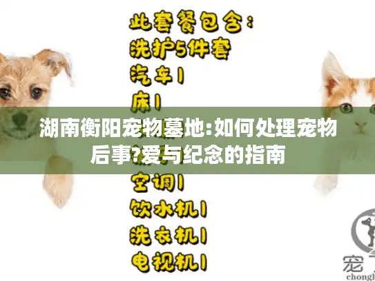 湖南衡阳宠物墓地:如何处理宠物后事?爱与纪念的指南