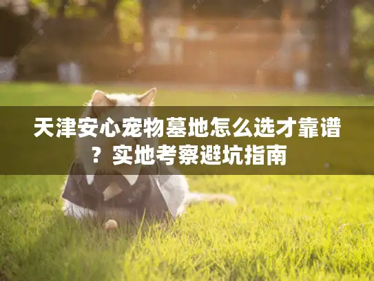 天津安心宠物墓地怎么选才靠谱？实地考察避坑指南