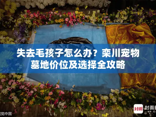 失去毛孩子怎么办？栾川宠物墓地价位及选择全攻略