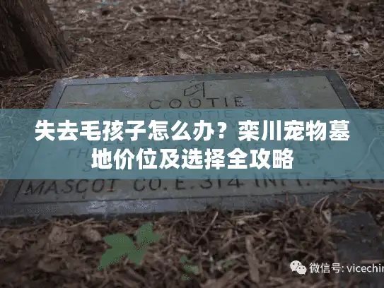 失去毛孩子怎么办？栾川宠物墓地价位及选择全攻略