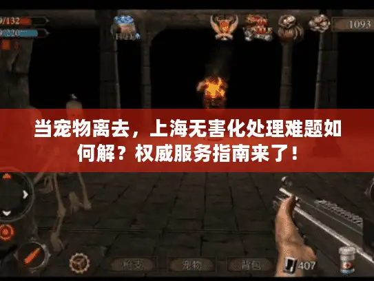 当宠物离去，上海无害化处理难题如何解？权威服务指南来了！