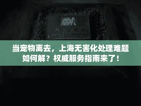 当宠物离去，上海无害化处理难题如何解？权威服务指南来了！