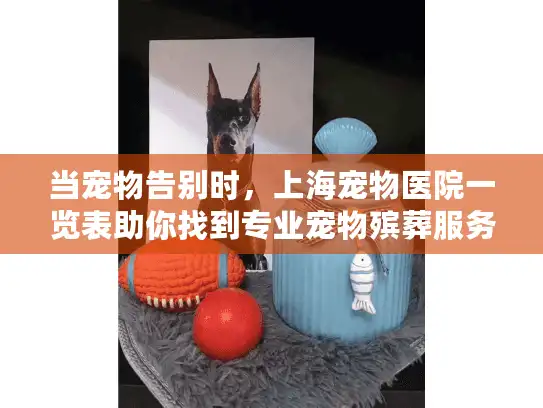 当宠物告别时，上海宠物医院一览表助你找到专业宠物殡葬服务