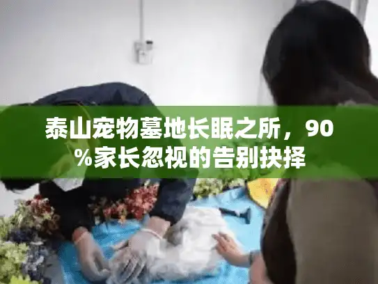 泰山宠物墓地长眠之所，90%家长忽视的告别抉择