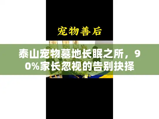 泰山宠物墓地长眠之所，90%家长忽视的告别抉择