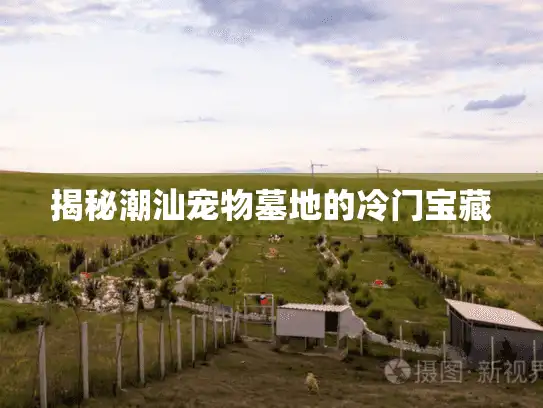 揭秘潮汕宠物墓地的冷门宝藏