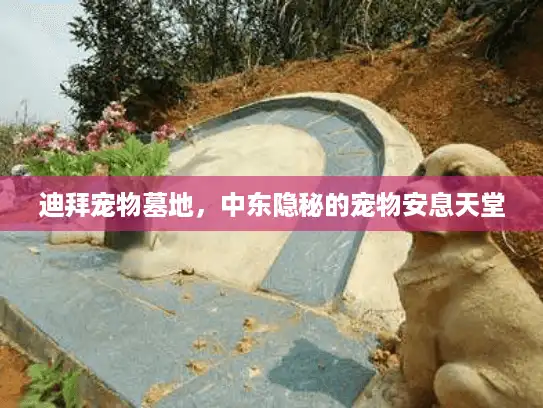 迪拜宠物墓地，中东隐秘的宠物安息天堂