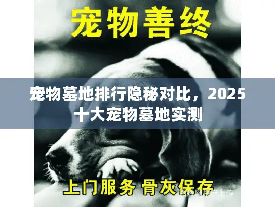 宠物墓地排行隐秘对比，2025十大宠物墓地实测