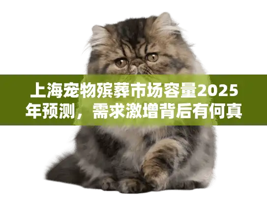 上海宠物殡葬市场容量2025年预测，需求激增背后有何真相？