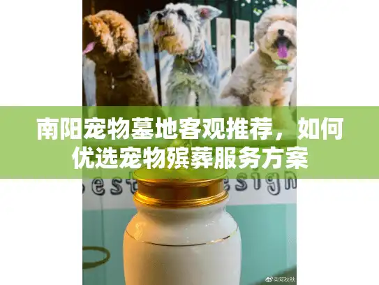 南阳宠物墓地客观推荐，如何优选宠物殡葬服务方案