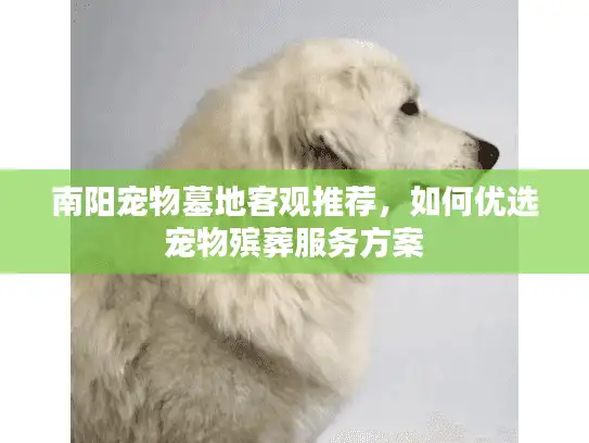 南阳宠物墓地客观推荐，如何优选宠物殡葬服务方案