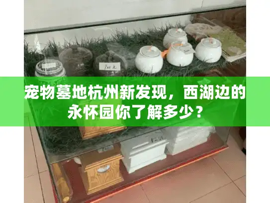 宠物墓地杭州新发现，西湖边的永怀园你了解多少？