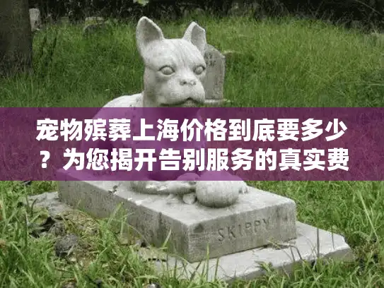 宠物殡葬上海价格到底要多少？为您揭开告别服务的真实费用构成