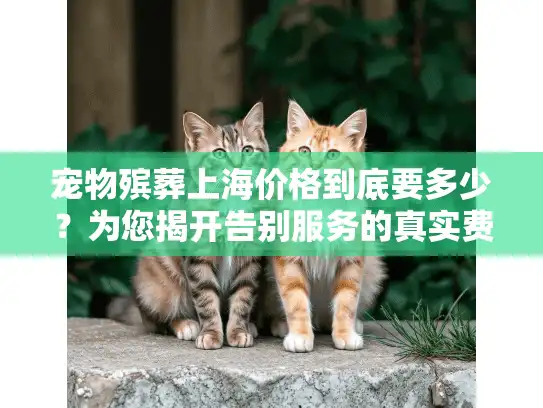 宠物殡葬上海价格到底要多少？为您揭开告别服务的真实费用构成