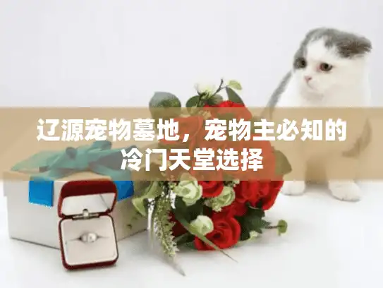 辽源宠物墓地，宠物主必知的冷门天堂选择