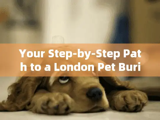 Your Step-by-Step Path to a London Pet Burial