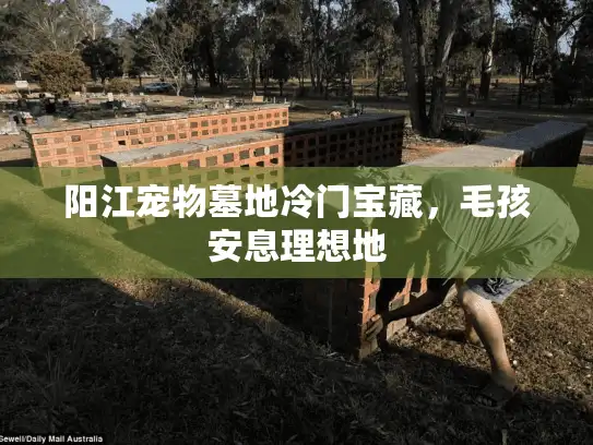 阳江宠物墓地冷门宝藏，毛孩安息理想地
