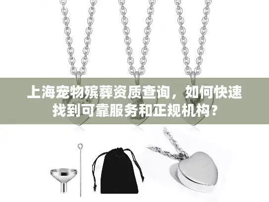 上海宠物殡葬资质查询，如何快速找到可靠服务和正规机构？