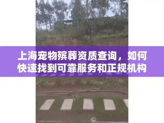 上海宠物殡葬资质查询，如何快速找到可靠服务和正规机构？