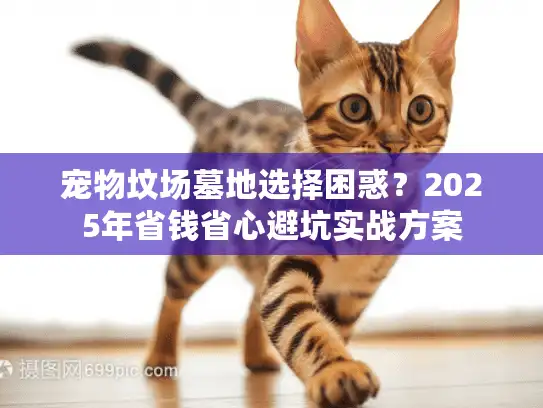 宠物坟场墓地选择困惑？2025年省钱省心避坑实战方案