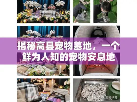 揭秘高县宠物墓地，一个鲜为人知的宠物安息地
