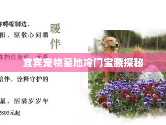 宜宾宠物墓地冷门宝藏探秘