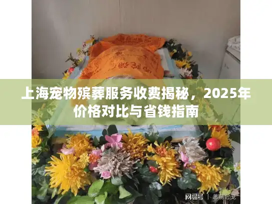 上海宠物殡葬服务收费揭秘，2025年价格对比与省钱指南