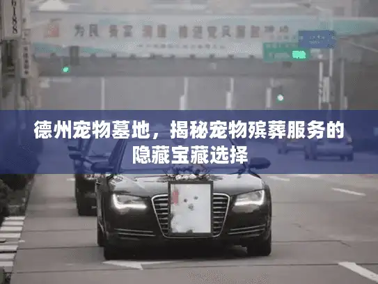 德州宠物墓地，揭秘宠物殡葬服务的隐藏宝藏选择