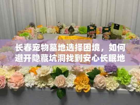 长春宠物墓地选择困境，如何避开隐藏坑洞找到安心长眠地