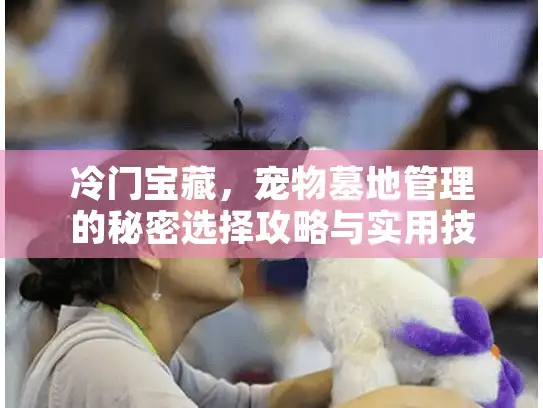 冷门宝藏，宠物墓地管理的秘密选择攻略与实用技巧