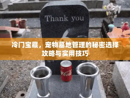 冷门宝藏，宠物墓地管理的秘密选择攻略与实用技巧