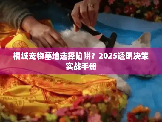 桐城宠物墓地选择陷阱？2025透明决策实战手册