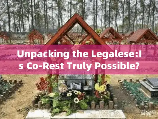 Unpacking the Legalese:Is Co-Rest Truly Possible?