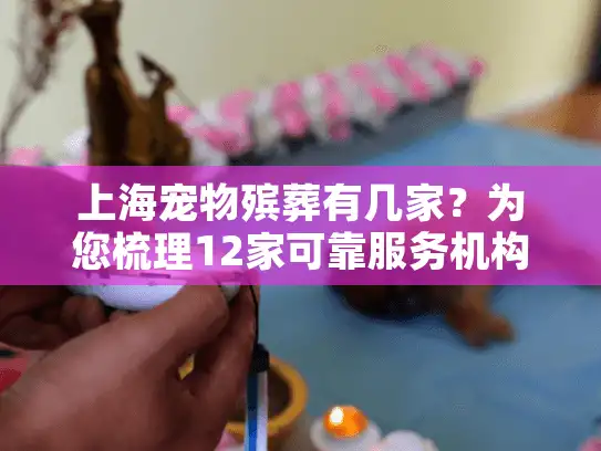 上海宠物殡葬有几家？为您梳理12家可靠服务机构