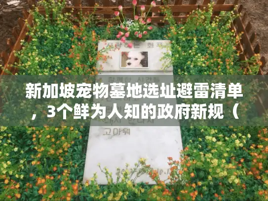 新加坡宠物墓地选址避雷清单，3个鲜为人知的政府新规（2025）