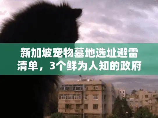 新加坡宠物墓地选址避雷清单，3个鲜为人知的政府新规（2025）