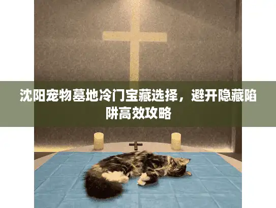 沈阳宠物墓地冷门宝藏选择，避开隐藏陷阱高效攻略