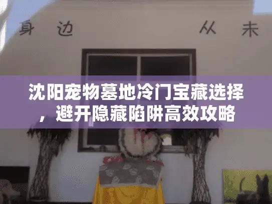 沈阳宠物墓地冷门宝藏选择，避开隐藏陷阱高效攻略