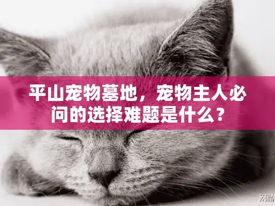 平山宠物墓地，宠物主人必问的选择难题是什么？