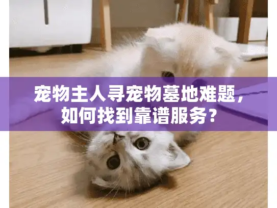 宠物主人寻宠物墓地难题，如何找到靠谱服务？