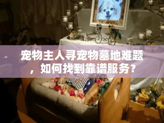 宠物主人寻宠物墓地难题，如何找到靠谱服务？