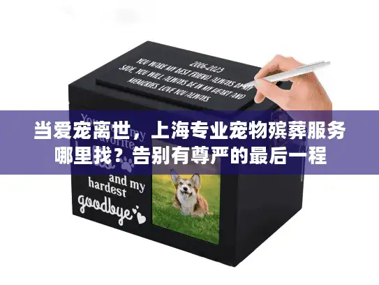 当爱宠离世，上海专业宠物殡葬服务哪里找？告别有尊严的最后一程