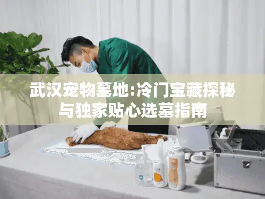 武汉宠物墓地:冷门宝藏探秘与独家贴心选墓指南